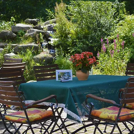 Ferienhaeuser Im Tannenpark, 度假居 *